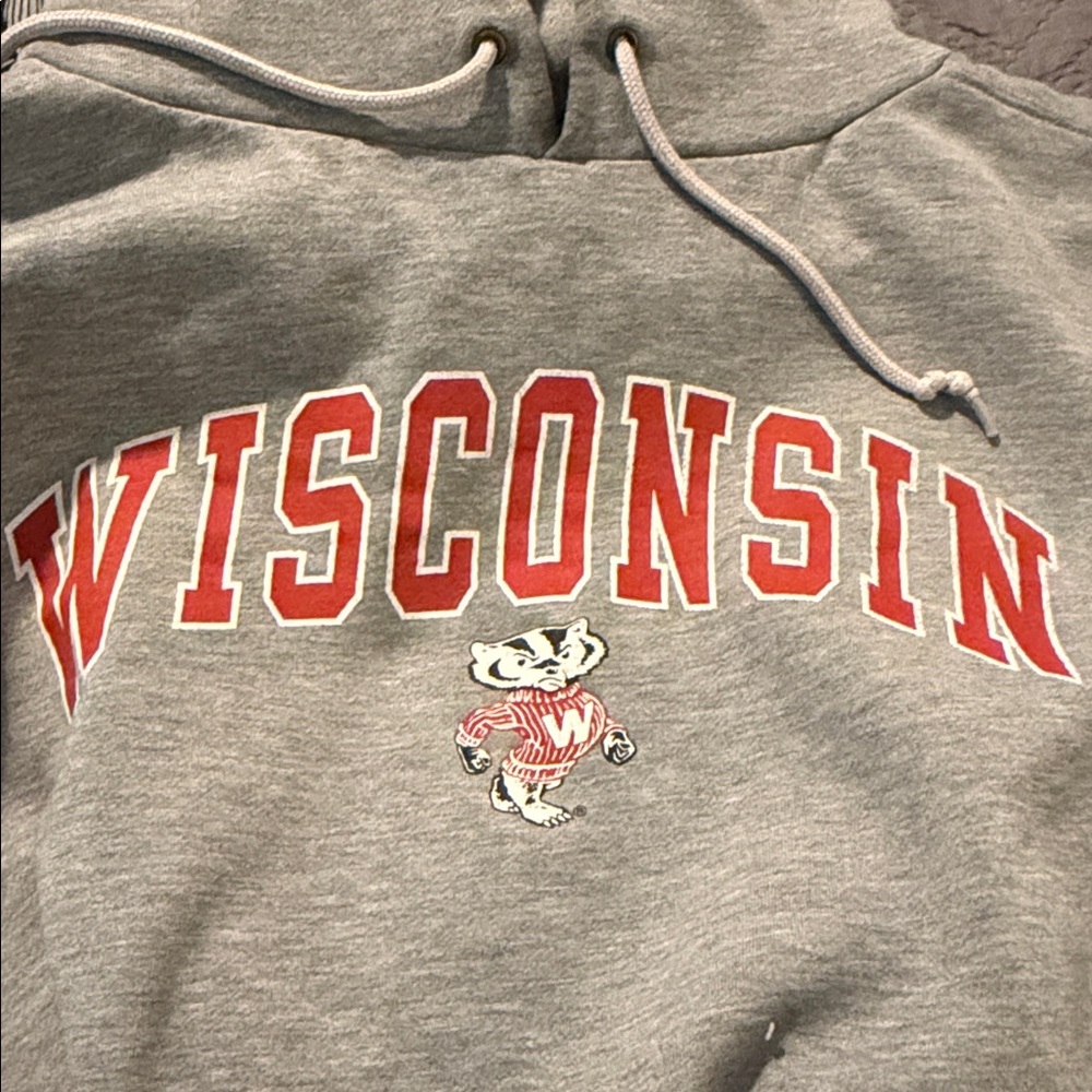 Jansport Gray Wisconsin Men's Sweater - Picture 3 of 4